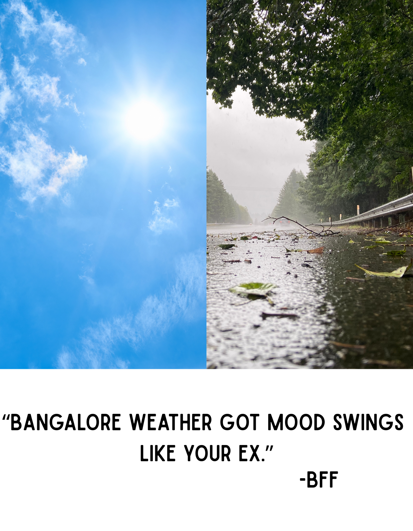 Partly Sunny, Mostly Toxic